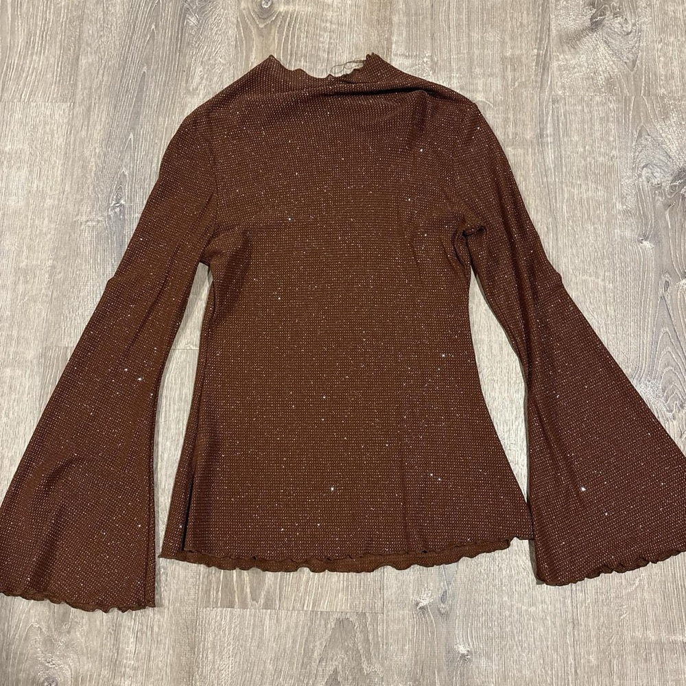 Elegant Brown Sheer Top